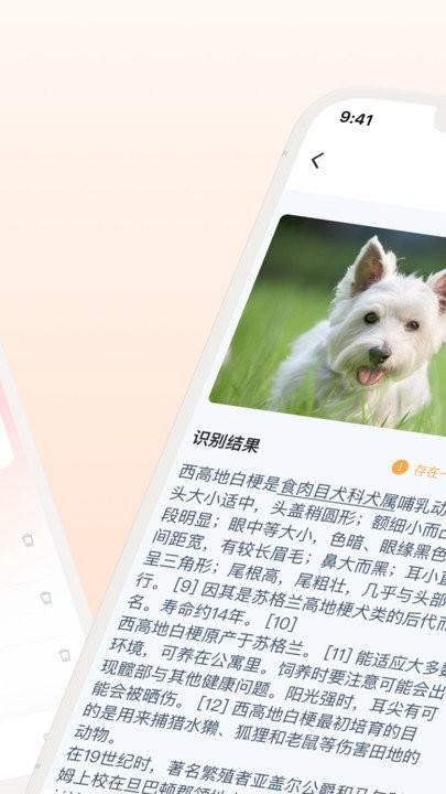 口袋识别软件下载,口袋识别,识别app