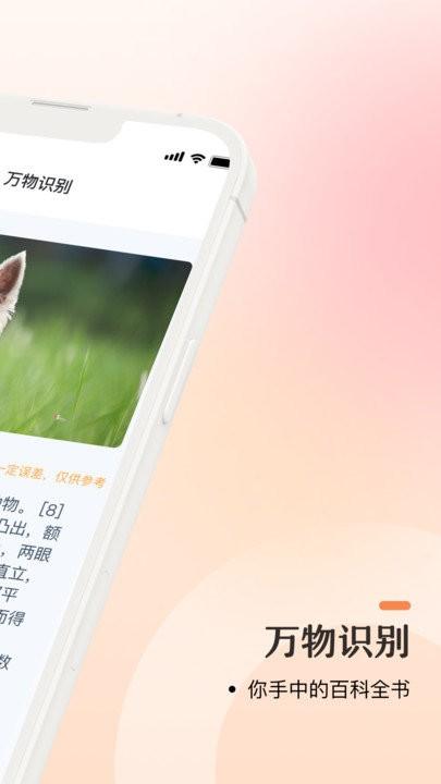口袋识别软件下载,口袋识别,识别app